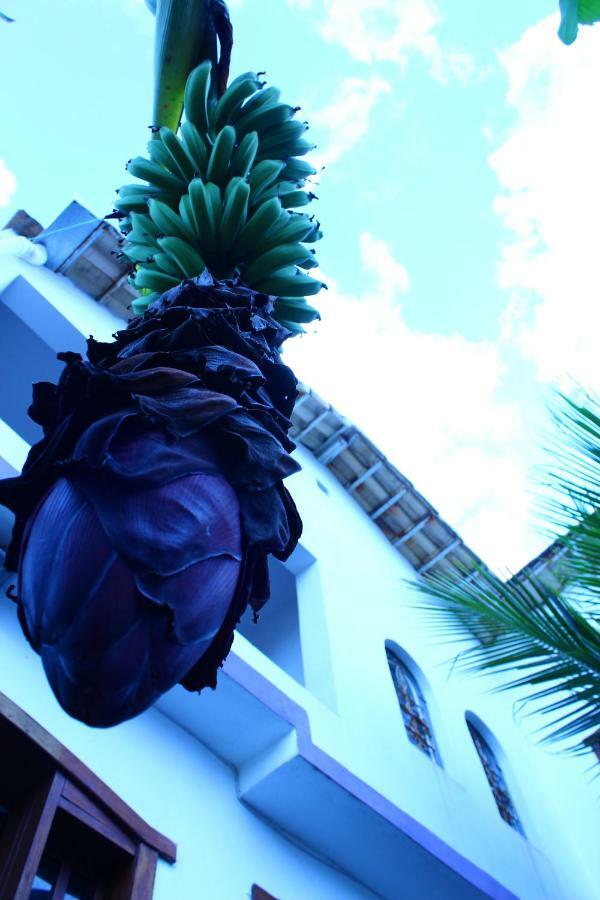 Hostel Divinopolis Bagian luar foto